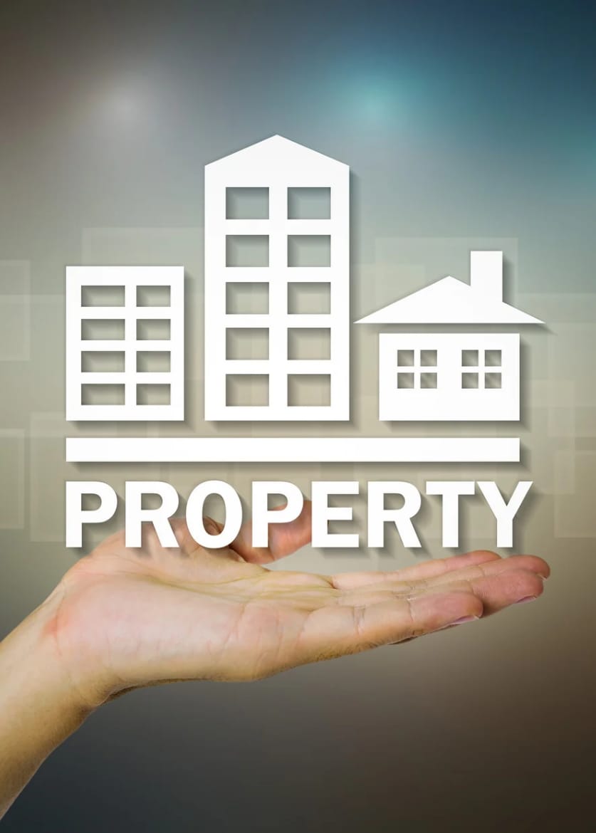 Media Representation