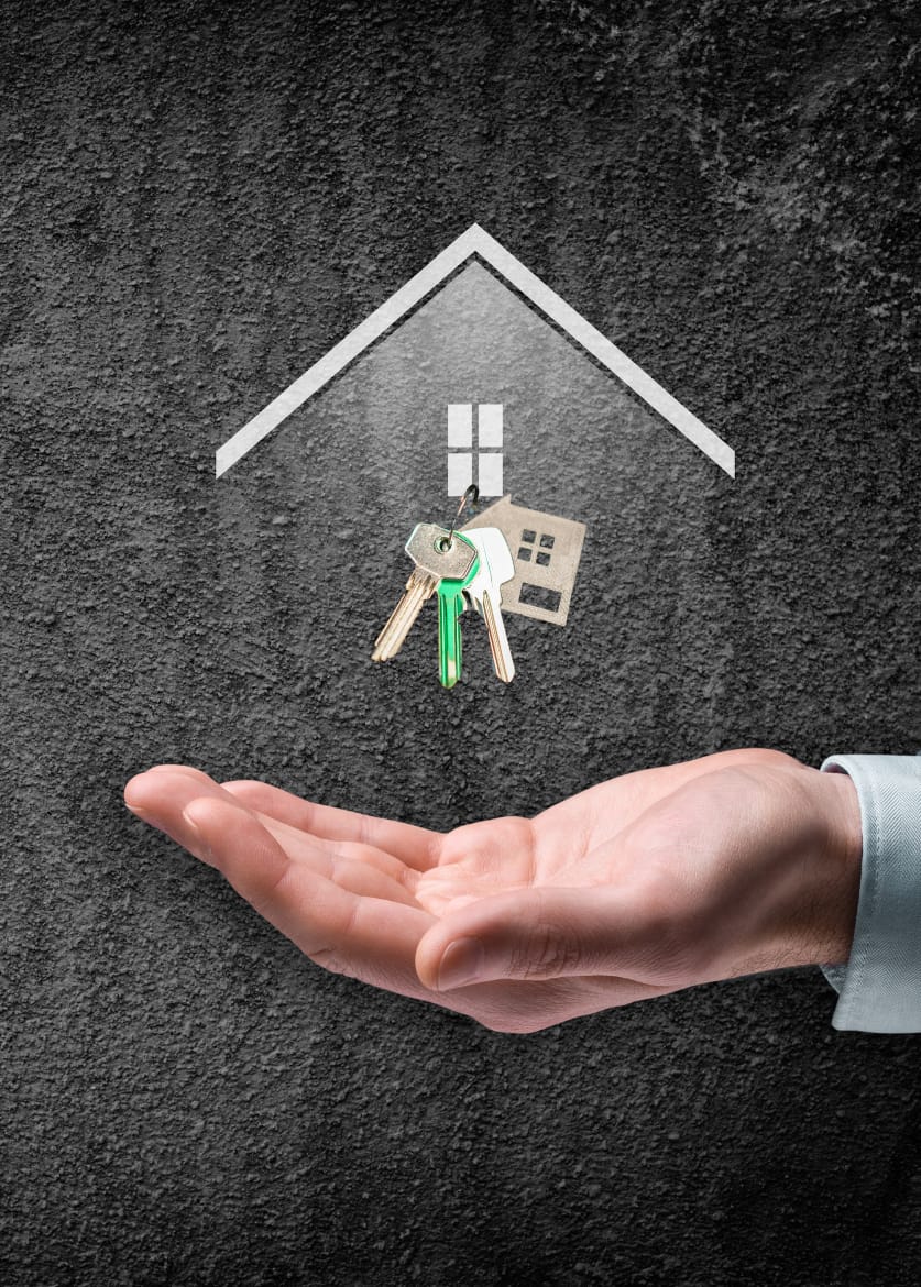 Media Representation